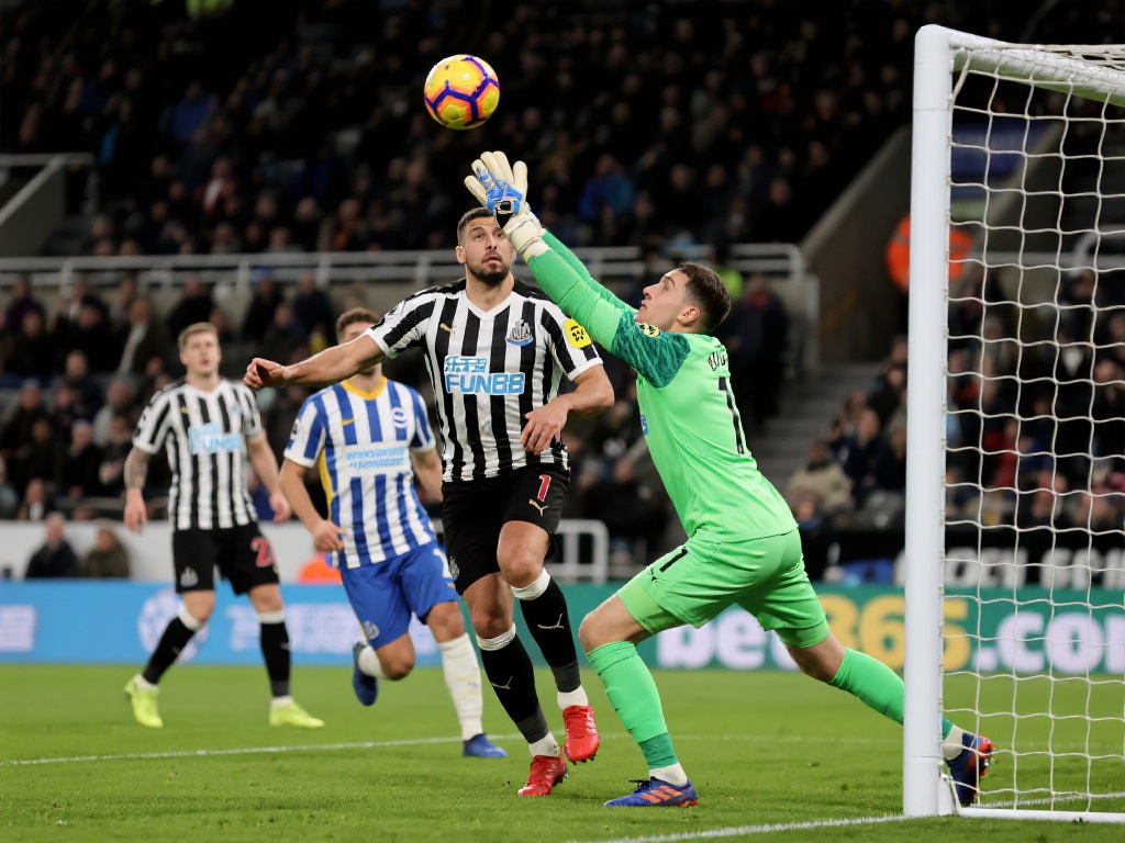 库森的持续 库森的持续